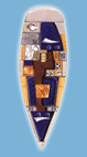 ELAN 31
